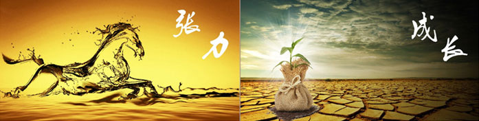 企業(yè)發(fā)展要學(xué)會取他人之長、補自己之短